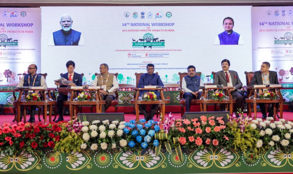 WhatsApp Image 2026-02-11 at 5.16