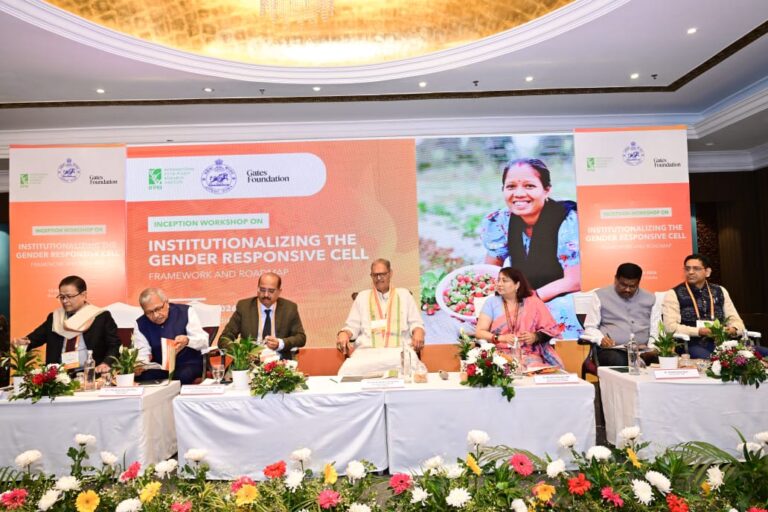 WhatsApp Image 2026-02-13 at 4.33