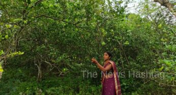 Meet Chanchala Mahanta, Odisha’s Inspiring Integrated Farmer