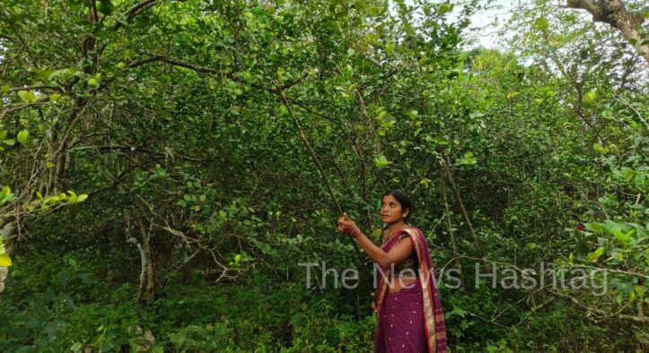 Meet Chanchala Mahanta, Odisha’s Inspiring Integrated Farmer