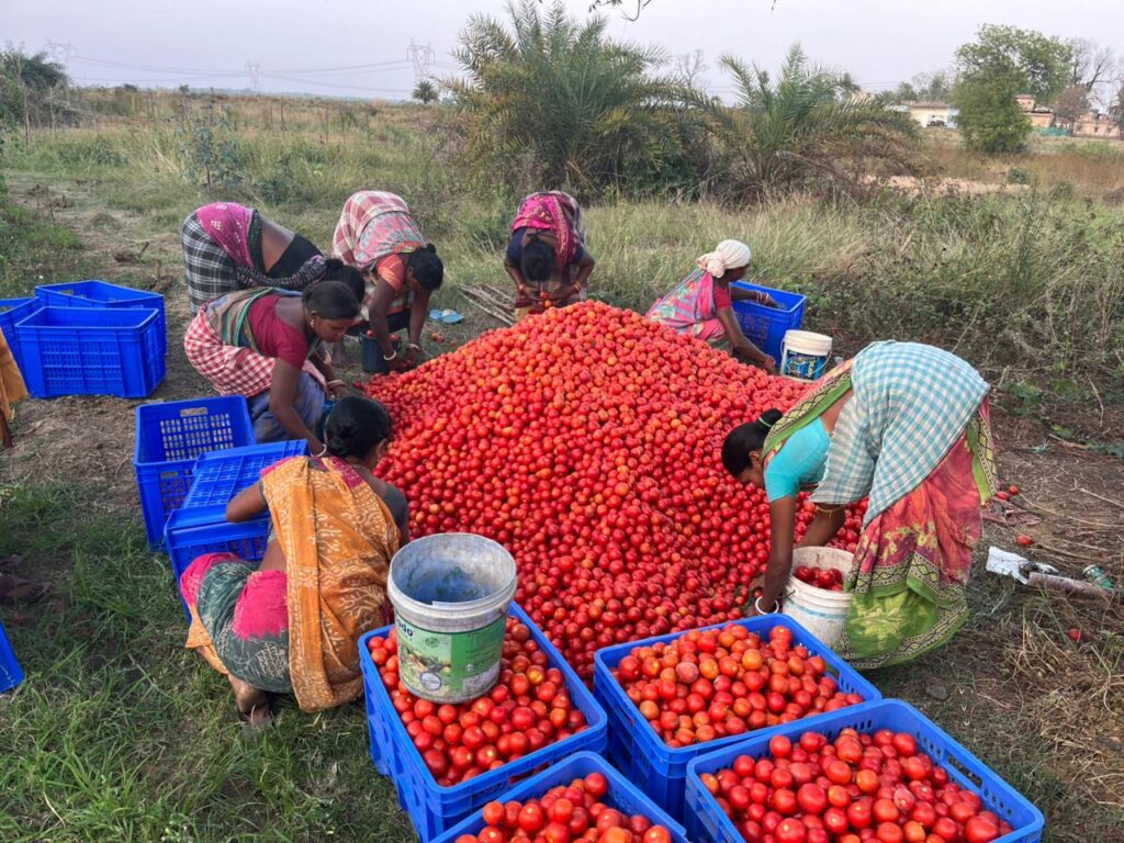 WhatsApp Image 2026-03-25 at 12.02