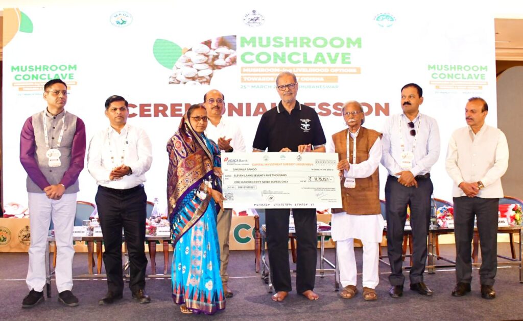 WhatsApp Image 2026-03-25 at 5.39