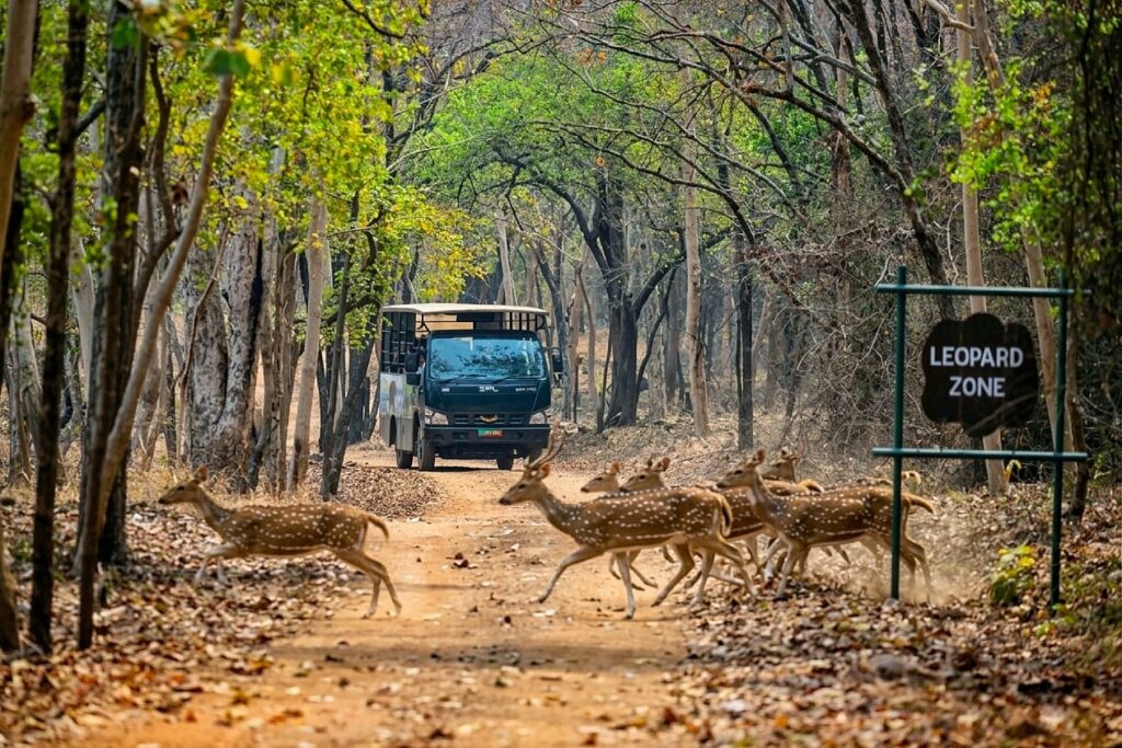 WhatsApp Image 2026-04-04 at 11.43