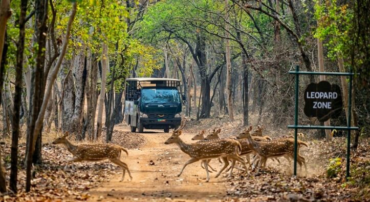 Debrigarh Ecotourism Logs Record ₹6 Crore Revenue, 1.4 Lakh Visitors in 2025–26