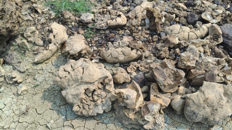 WhatsApp Image 2026-04-06 at 07.50