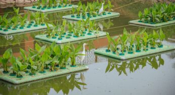 Odisha Emerges as Top Performer Under AMRUT 2.0, Strengthens Urban Water Infrastructure