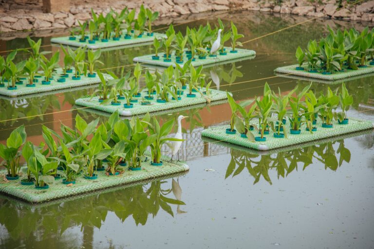 WhatsApp Image 2026-04-07 at 5.28