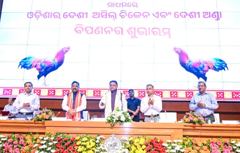 WhatsApp Image 2026-04-25 at 9.14