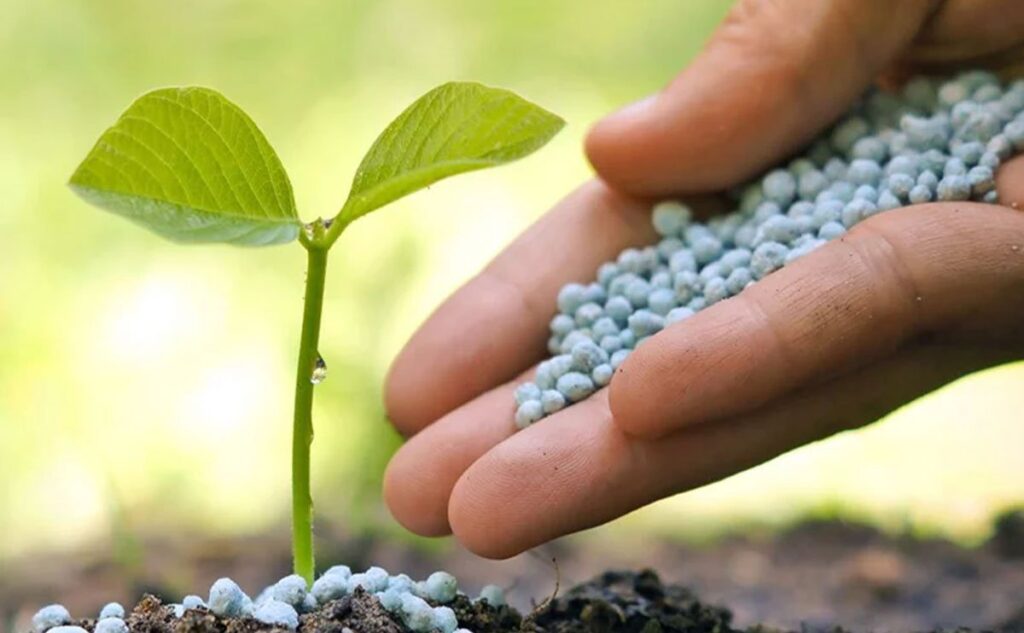 fertiliser