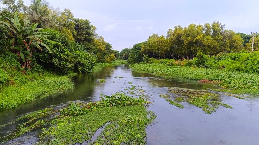 Gangua River