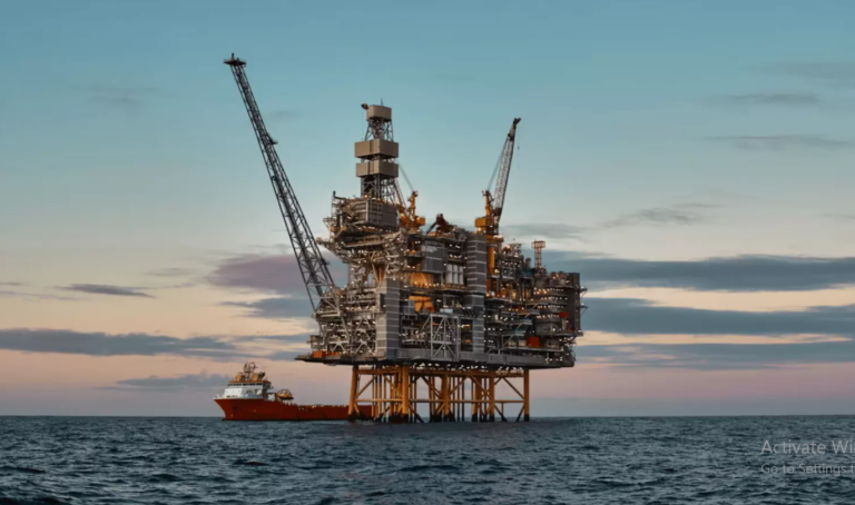 Oil