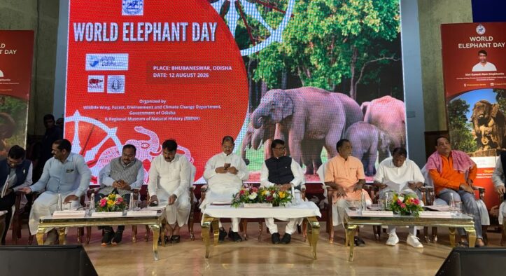 Odisha Steps Up Elephant Conservation, Plans Insurance and Welfare Support for Gaja Sathis