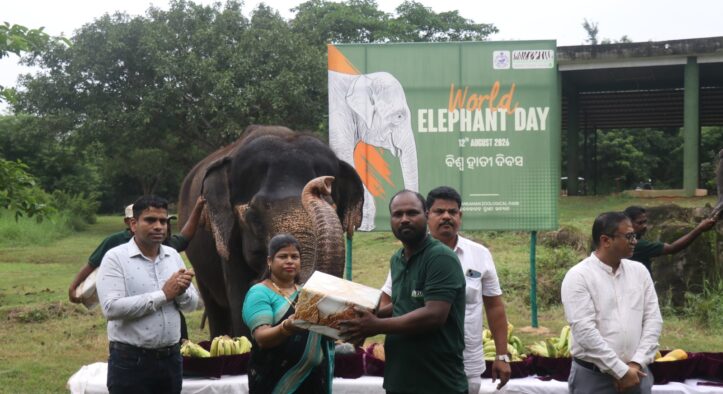 Nandankanan Marks World Elephant Day with Feeding Enrichment, Awareness Activities