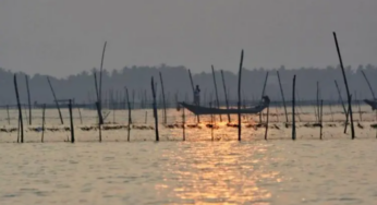 600 Acres of Illegal Prawn Enclosures Cleared in Chilika
