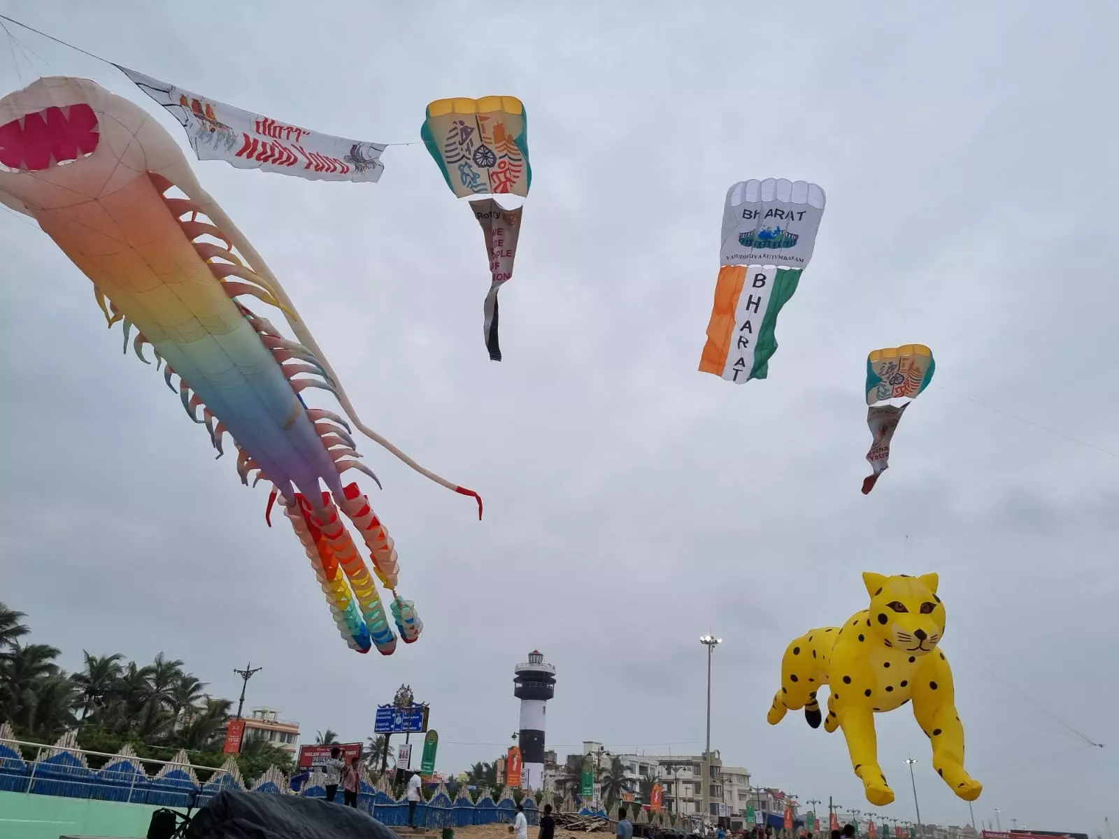 Kites Soar Over Puri Beach to Celebrate Rath Yatra